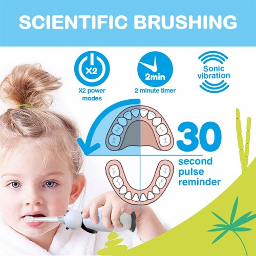 Brush-Baby | Brushbaby WildOnes Pan Pan Panda Rechargeable Sonic Electric Toothbrush (0-10 year olds) | 2 years warranty